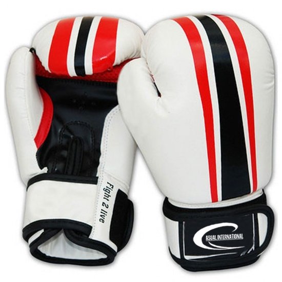 Training Boxing Gloves